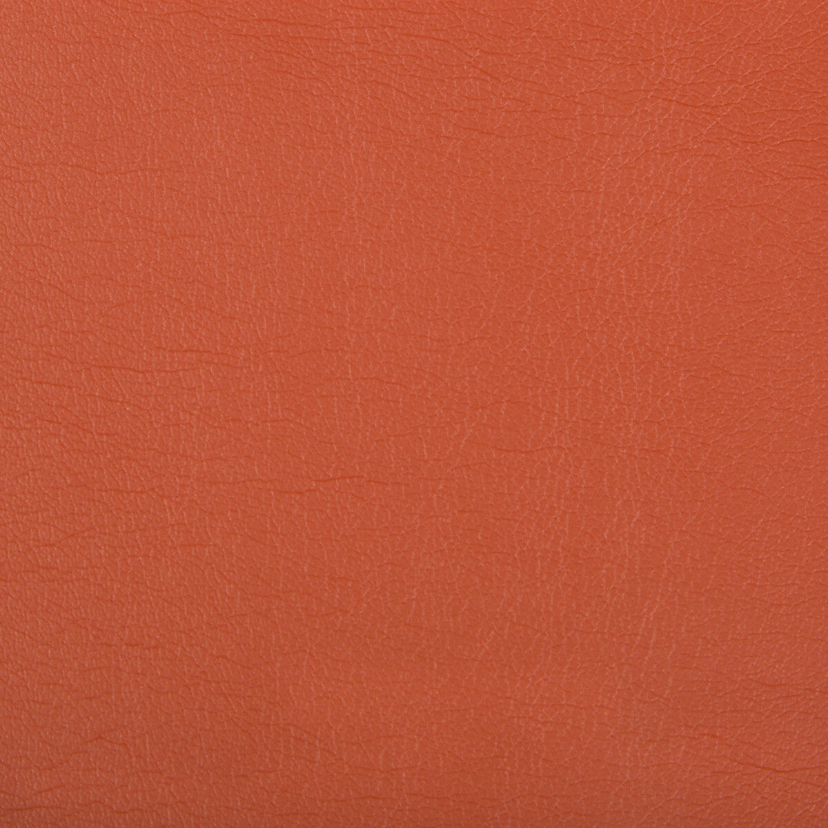 optima120-optima-nectarine-kravet-contract