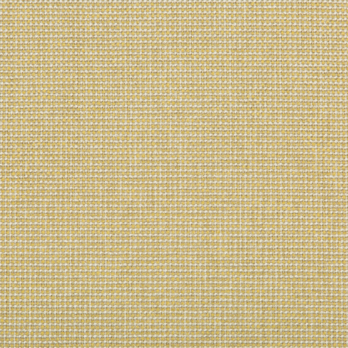 35745140-burr-lemon-drop-kravet-contract