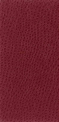 nuostrich90-kravet-basics-nuostrich-9