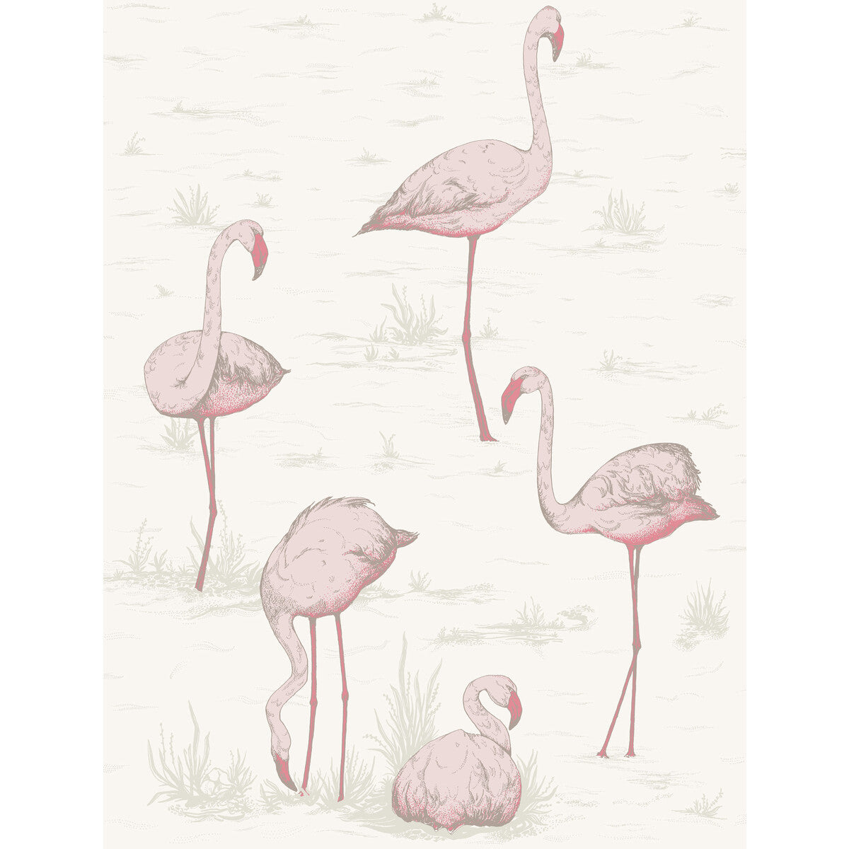 958045cs0-flamingos-pinkwhite-cole-son