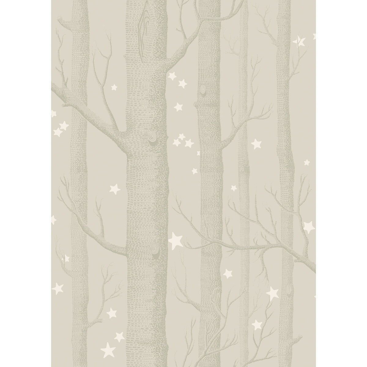 10311048cs0-woods-stars-grey-cole-son