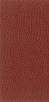 nuostrich240-kravet-basics-nuostrich-24