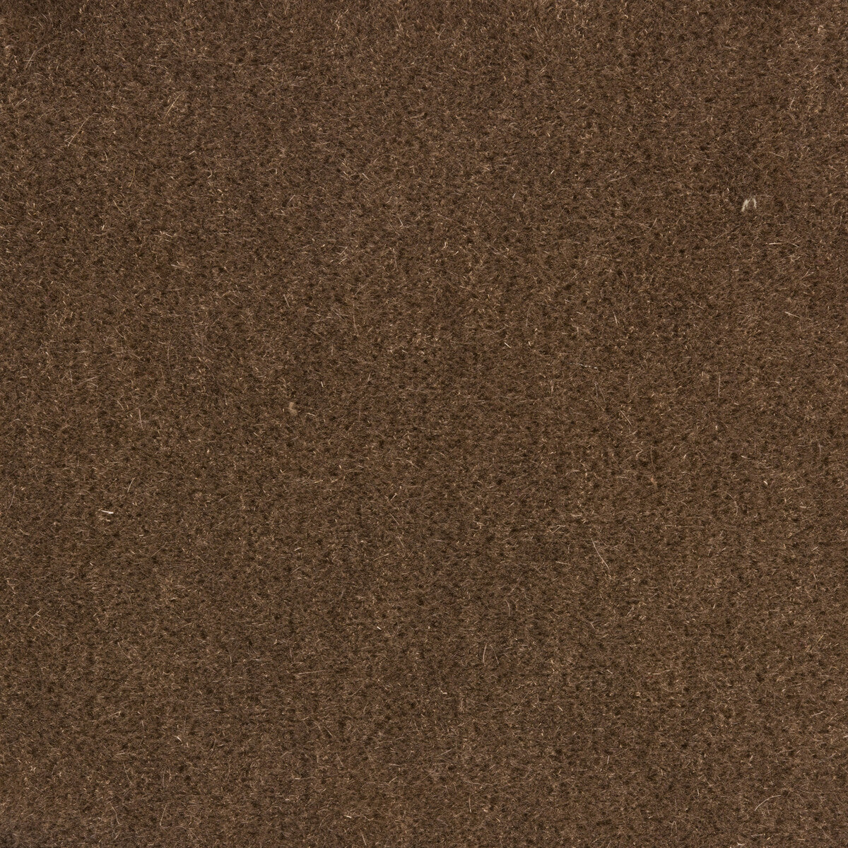 80141016110-bachelor-mohair-mink-brunschwig-fils