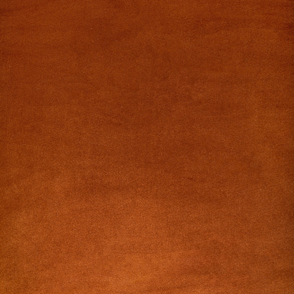 36652240-rocco-velvet-spice-kravet-contract