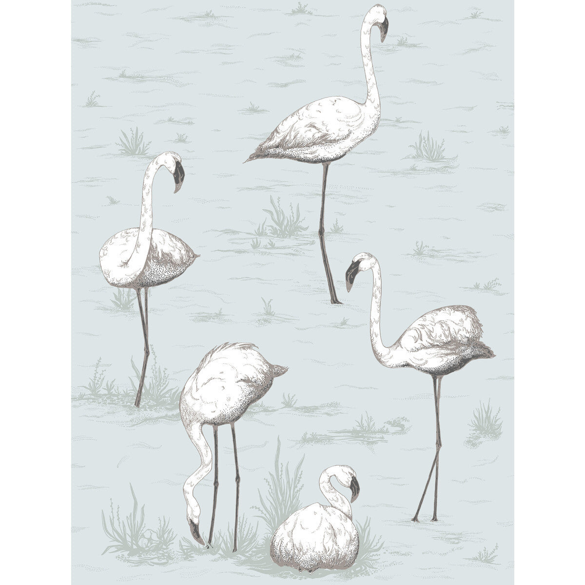 958047cs0-flamingos-charcoalaqua-cole-son