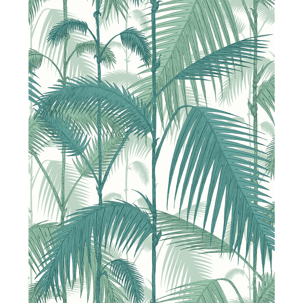 f1112005lcs0-palm-jungle-tea-virid-chlk-cole-son