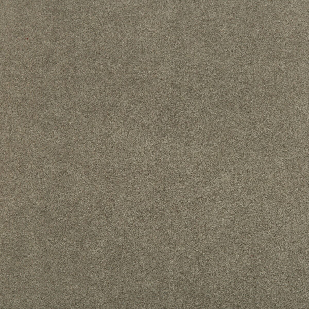 307871060-ultrasuede-green-oatmeal-kravet-design