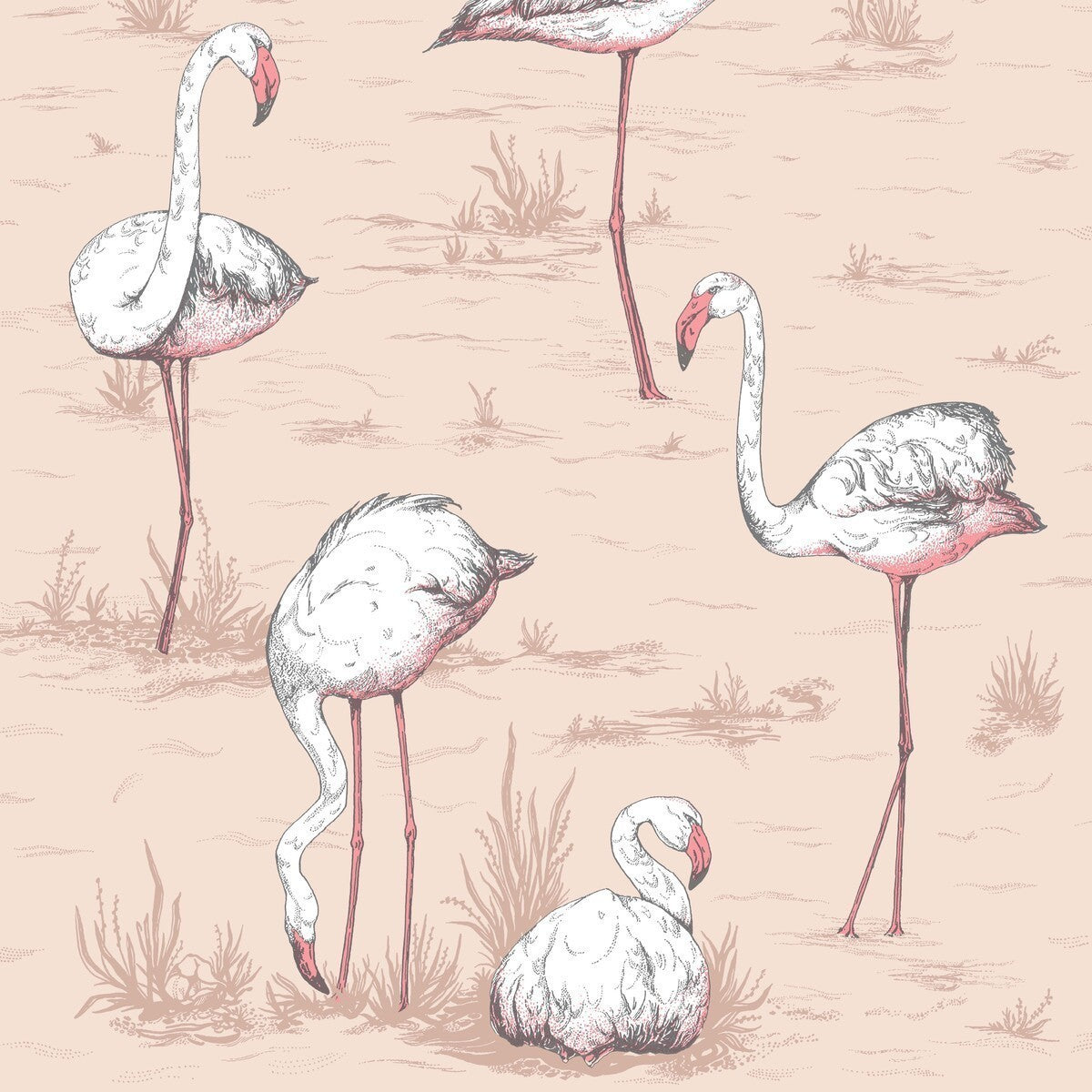 11211039cs0-flamingos-plaster-pink-cole-son