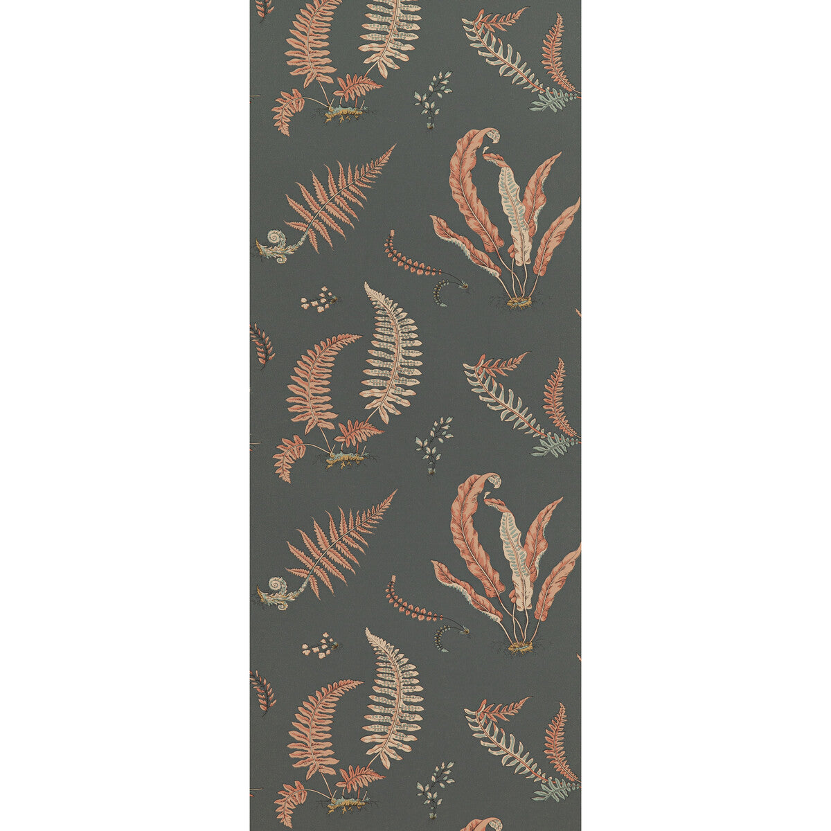 bw45044130-ferns-coralcharcoal-g-p-j-baker