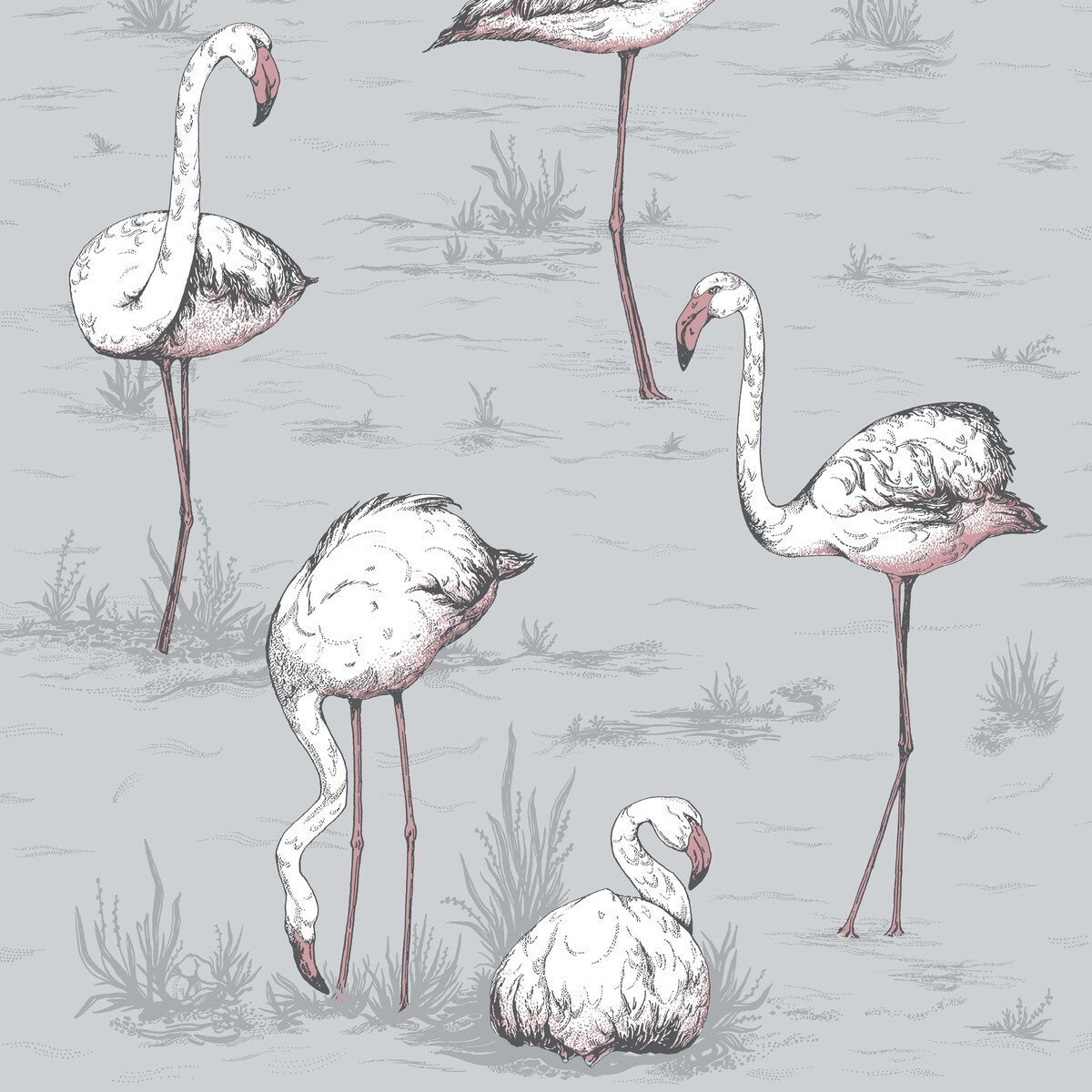 11211040cs0-flamingos-grey-cole-son