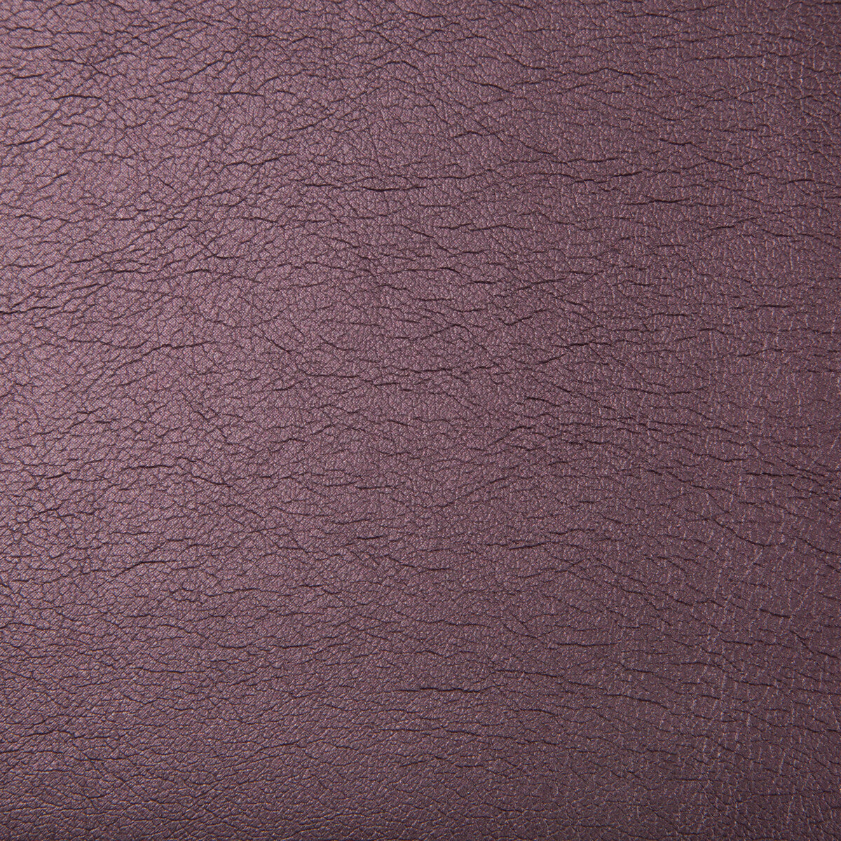 maximo100-maximo-garnet-kravet-contract