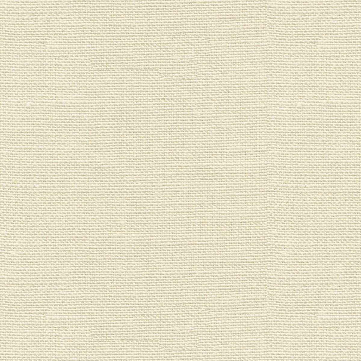 ed851161100-newport-ivory-threads