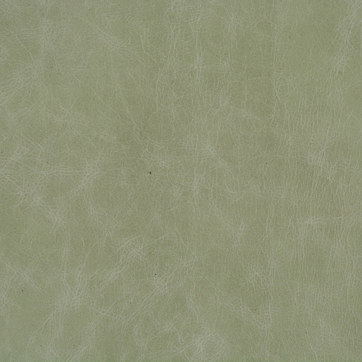 l-beaumonteucalyptus0-kravet-basics-l-beaumont-eucalyptus