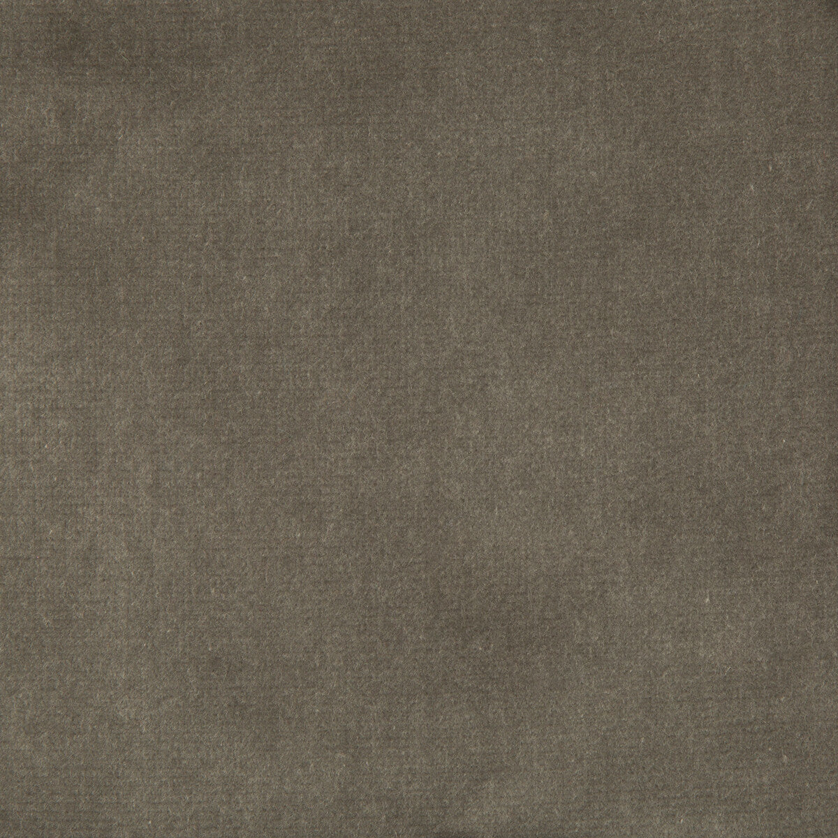 33062110-velvet-treat-grey-kravet-couture