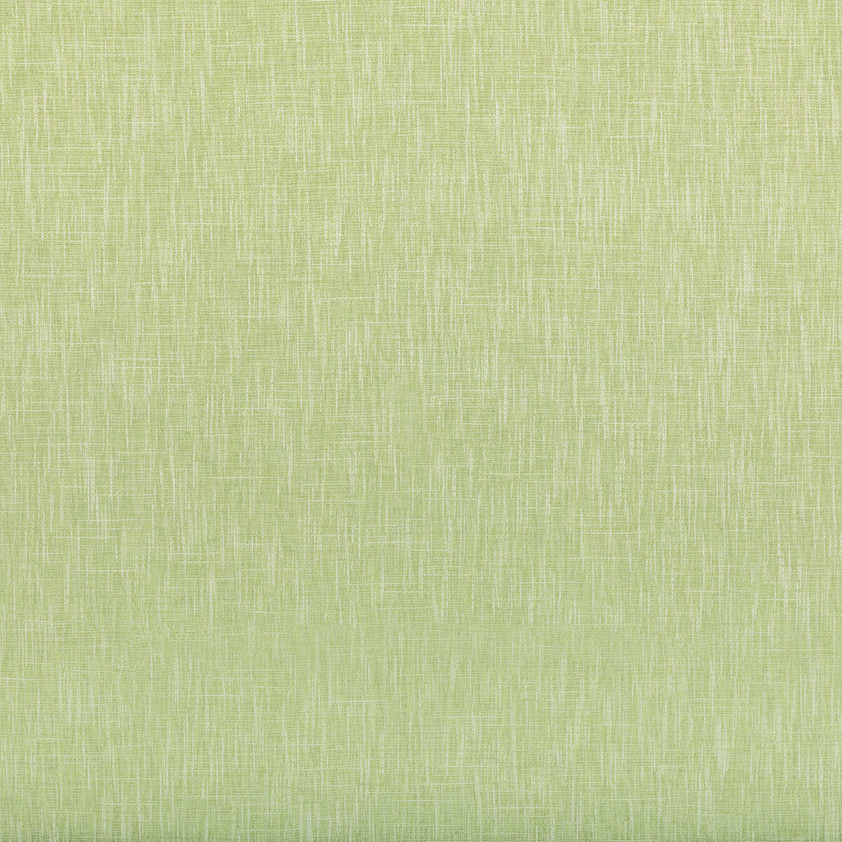 3592330-maris-pear-kravet-basics