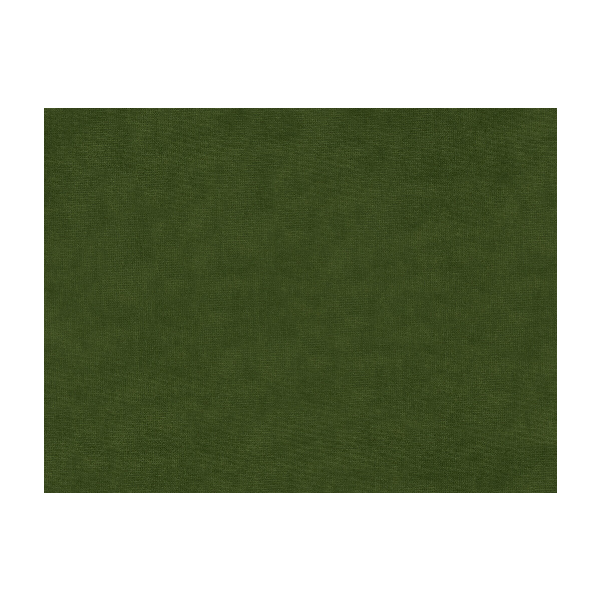 801315030300-charmant-velvet-pine-brunschwig-fils