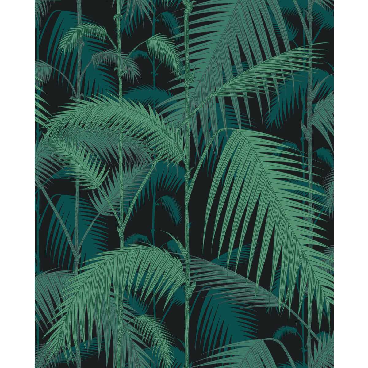 f1112004lcs0-palm-jungle-virpet-on-char-cole-son