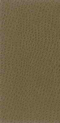 nuostrich1060-kravet-basics-nuostrich-106