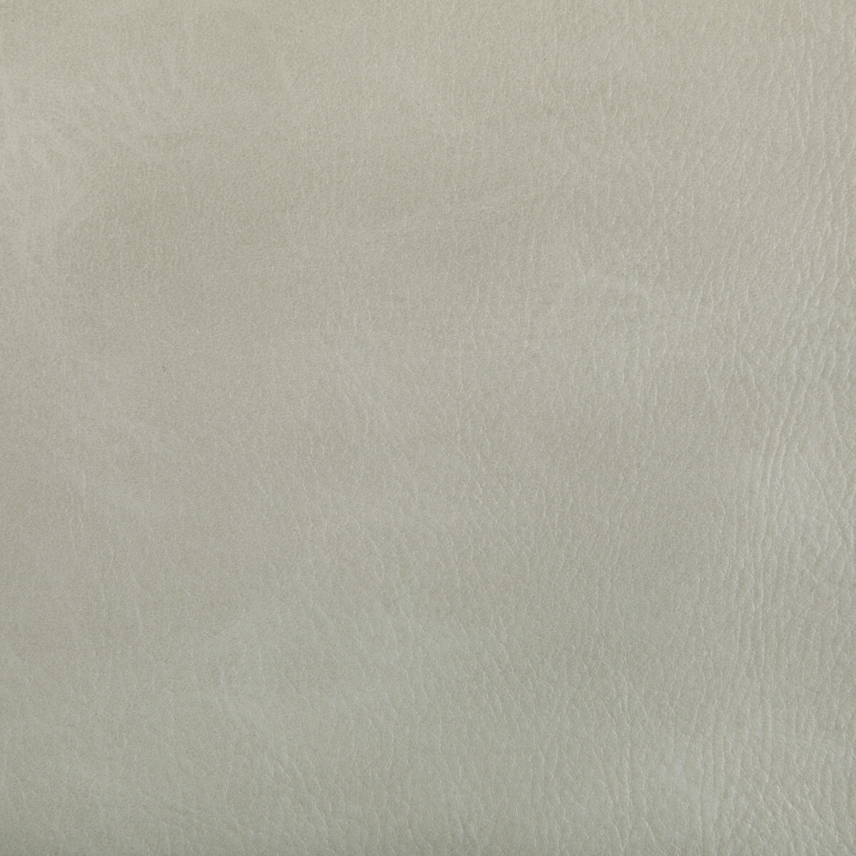 toni1010-toni-limestone-kravet-contract