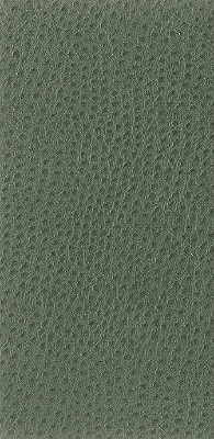 nuostrich30-kravet-basics-nuostrich-3