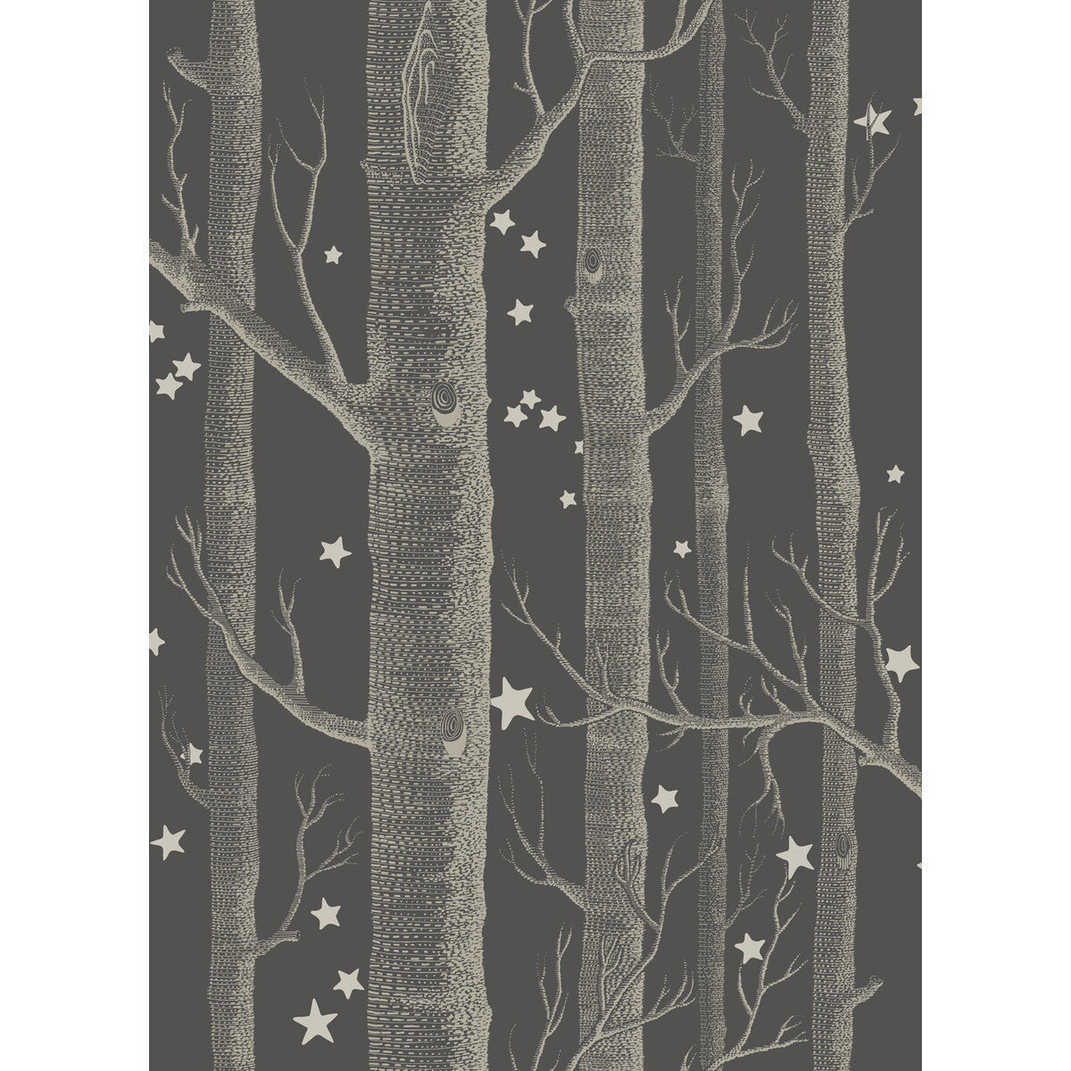 10311053cs0-woods-stars-charcoal-cole-son