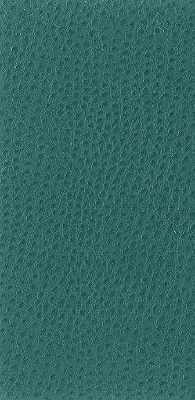 nuostrich350-kravet-basics-nuostrich-35