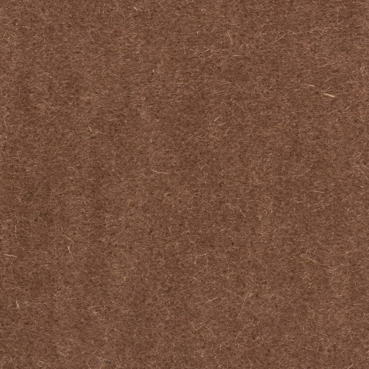 801410110110-bachelor-mohair-dove-brunschwig-fils