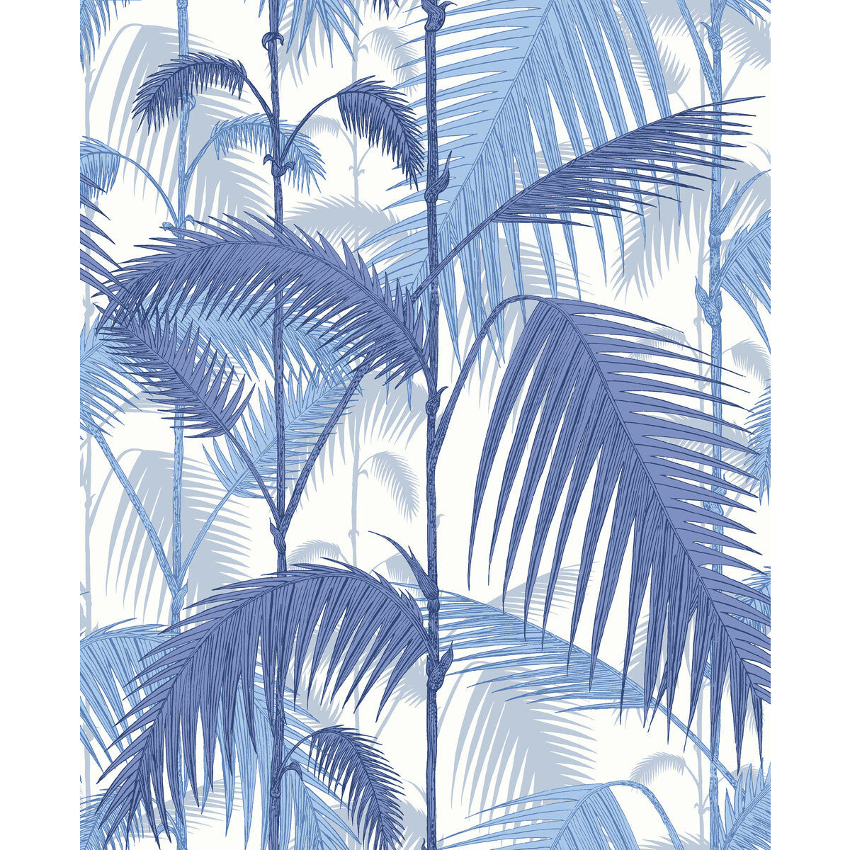 f1112006lcs0-palm-jungle-hyaci-on-wht-cole-son