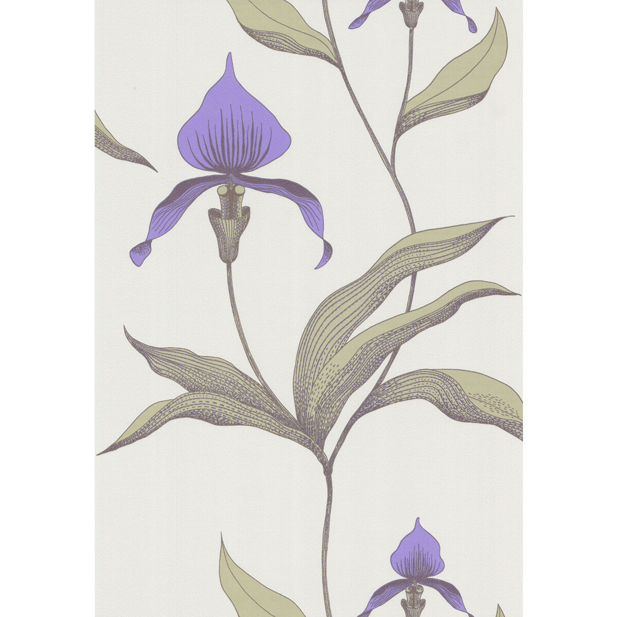 664024cs0-orchid-whitem-cole-son