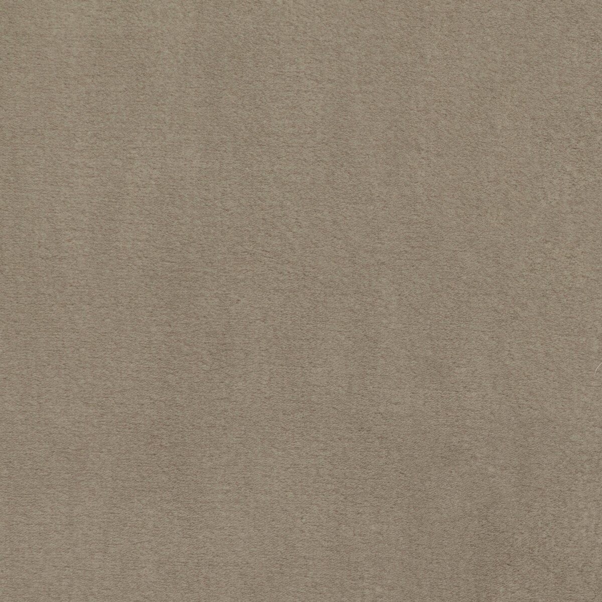 36061160-plushilla-beige-kravet-basics