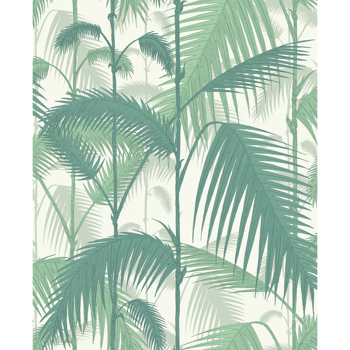 951002cs0-palm-jungle-forest-grew-cole-son