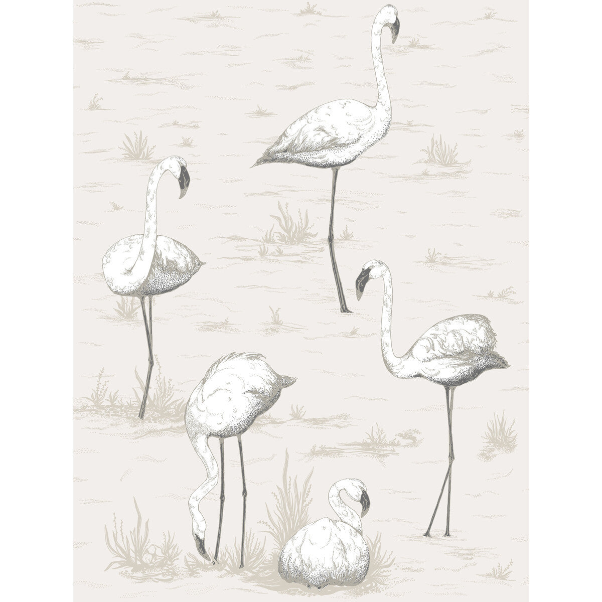 958046cs0-flamingos-charcoalwht-cole-son