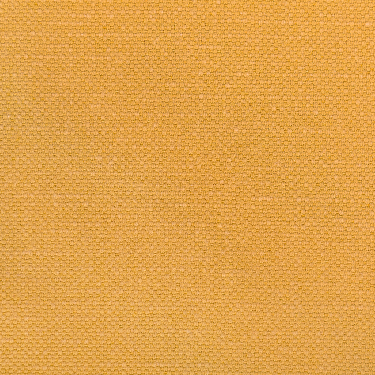 3628240-carson-honey-kravet-basics