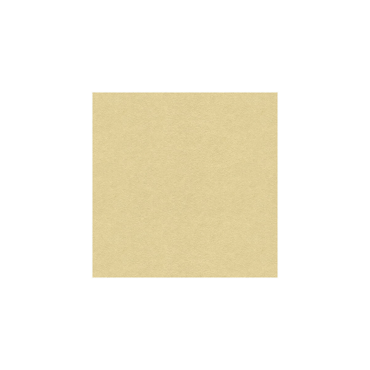 ultrasuede16110-ultrasuede-flax-kravet-design