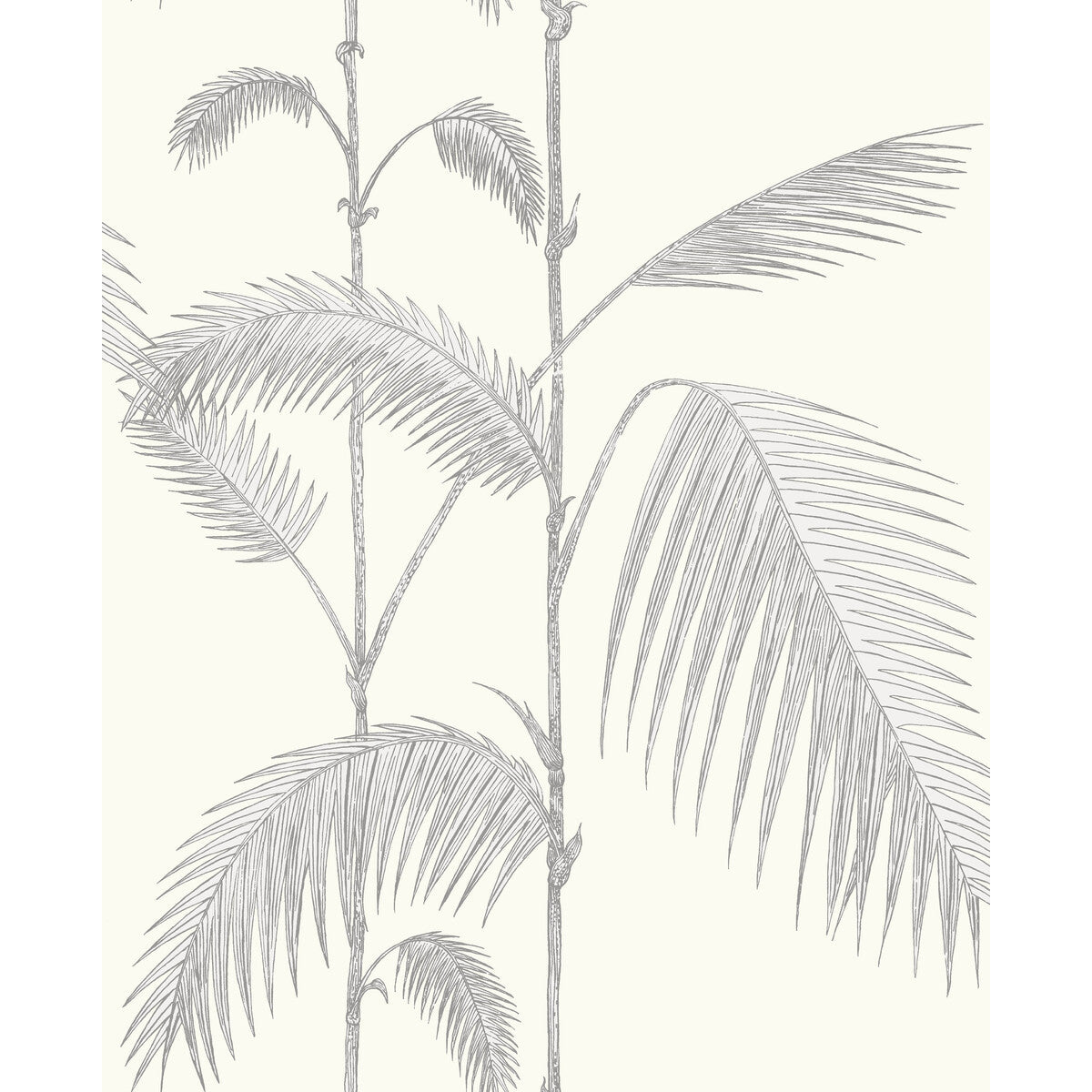 951008cs0-palm-leaves-greywhite-cole-son