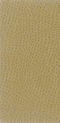 nuostrich160-kravet-basics-nuostrich-16