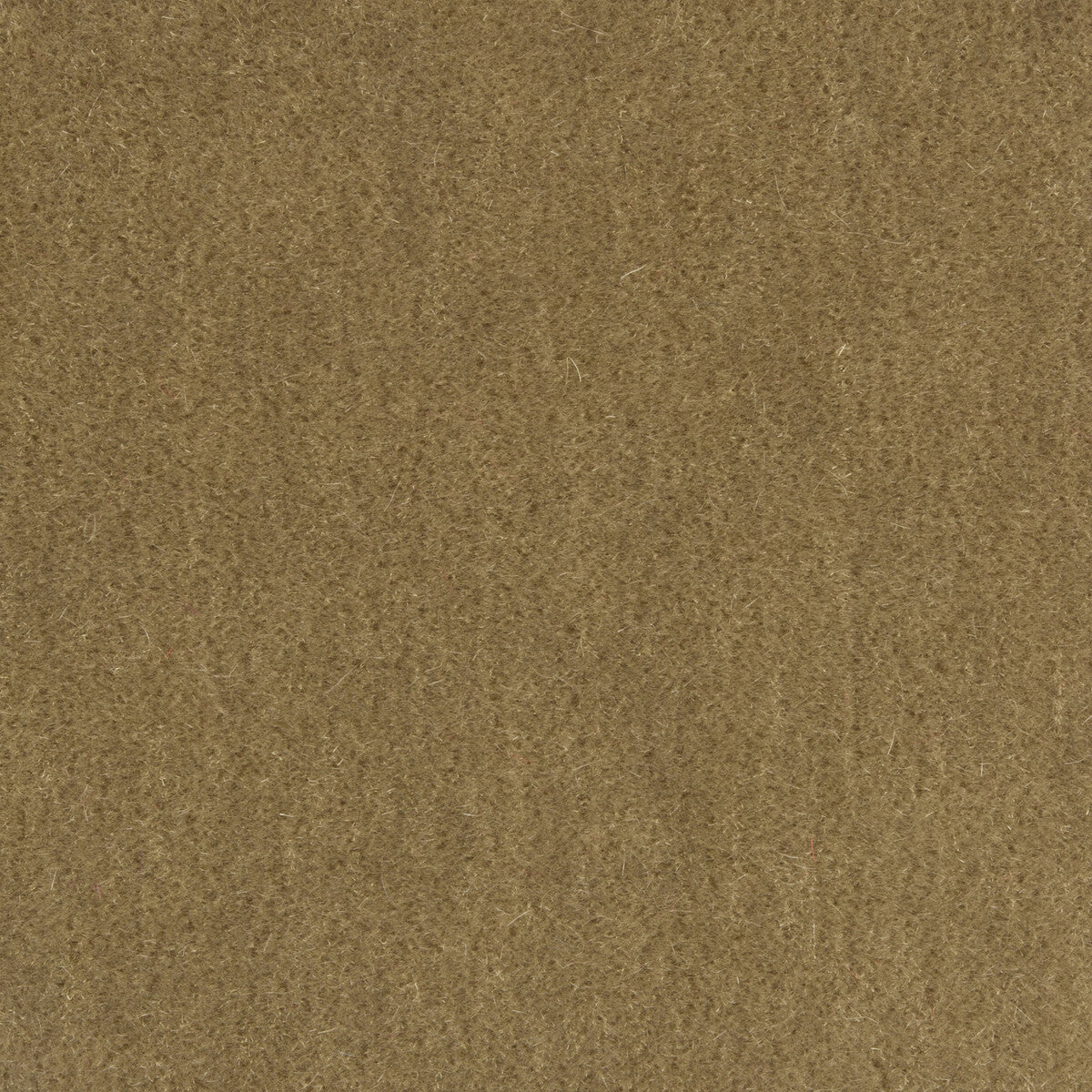 80141011060-bachelor-mohair-birch-brunschwig-fils