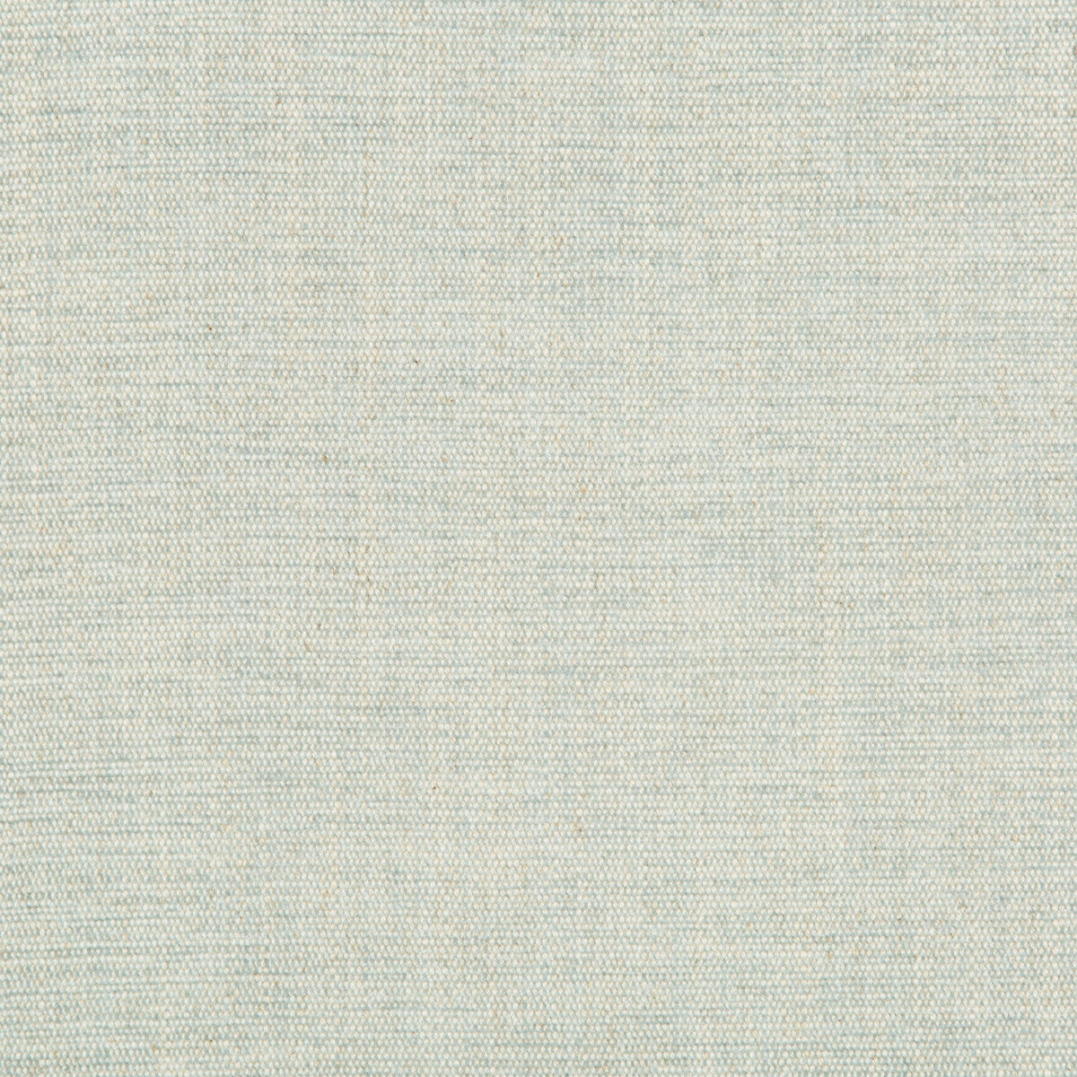 352971150-rutledge-spa-kravet-basics