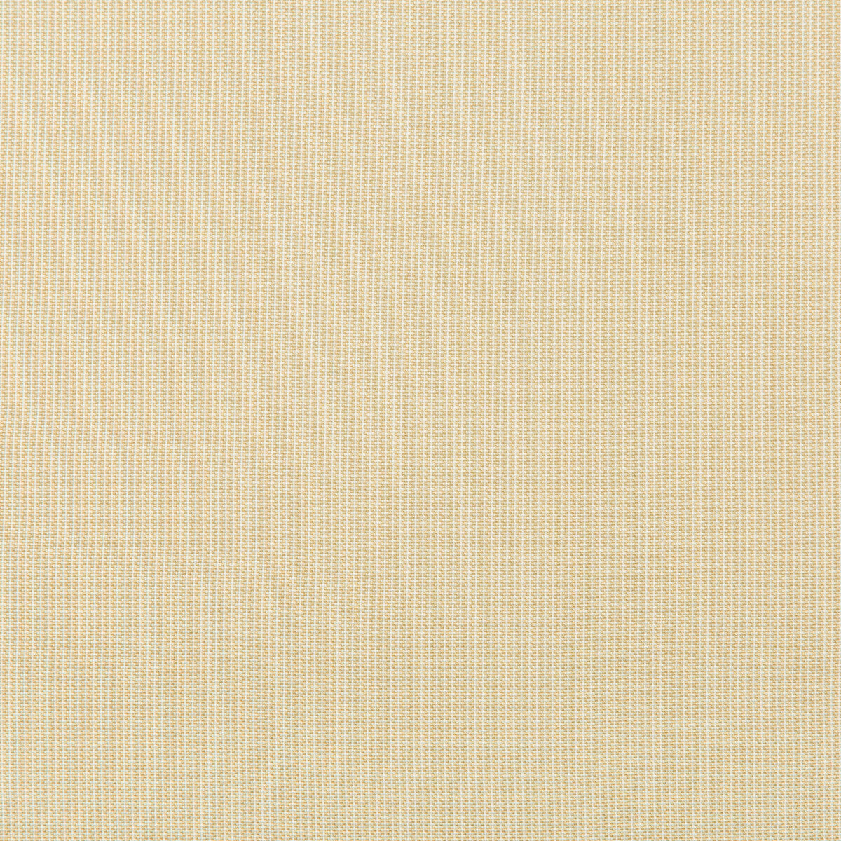 36820160-kravet-basics-36820-16