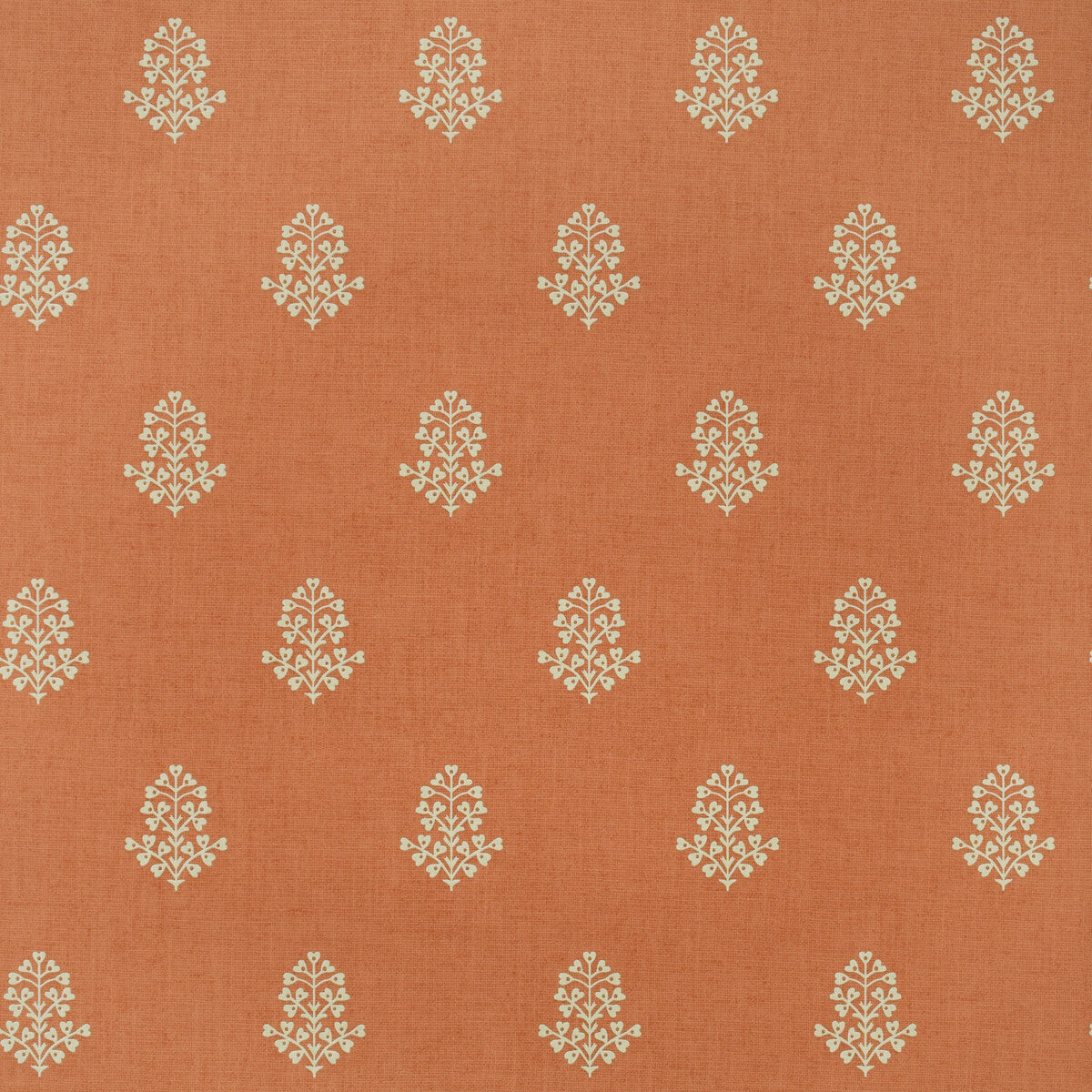 amw10076120-cow-parsley-clementine-kravet-couture