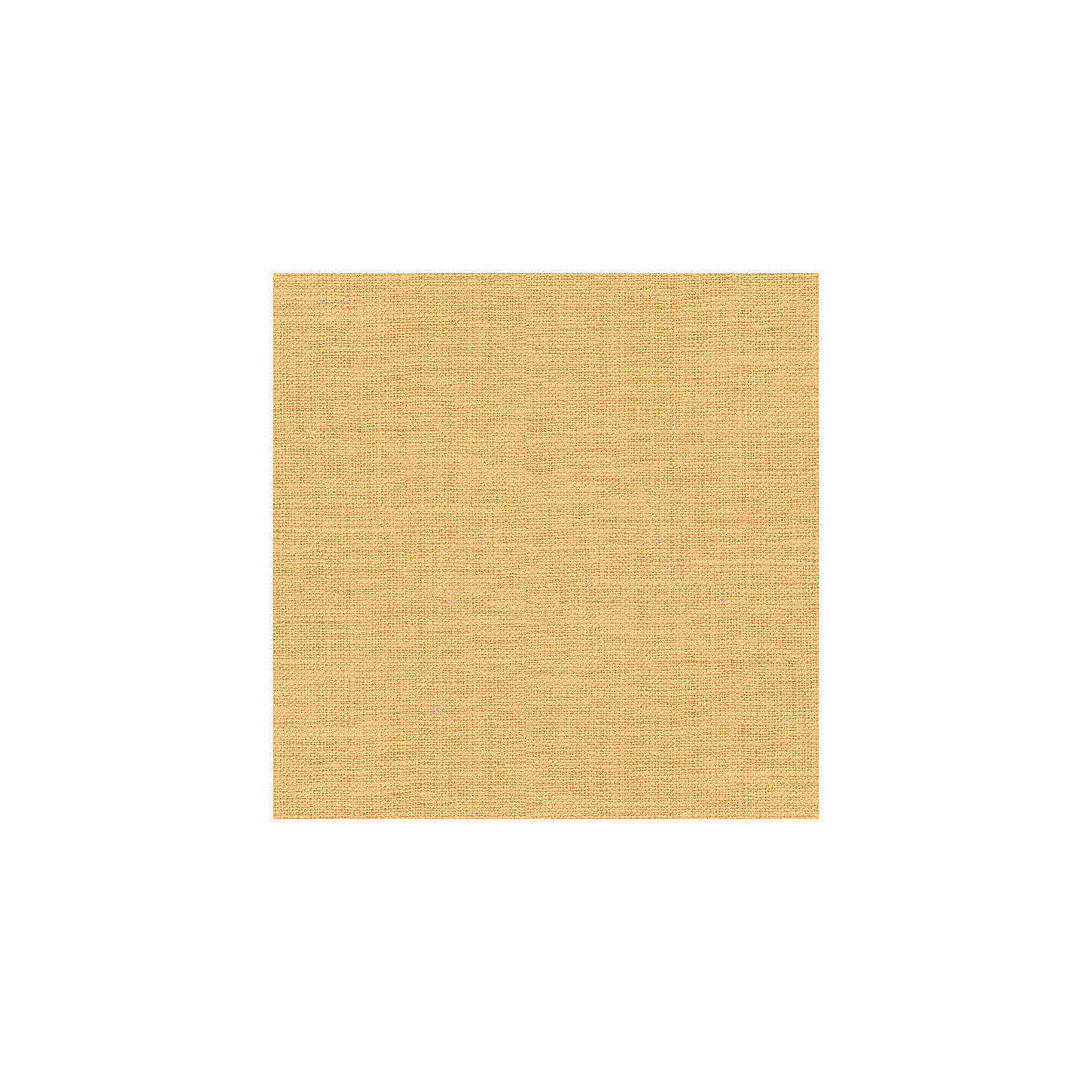 24573160-barnegat-camel-kravet-basics