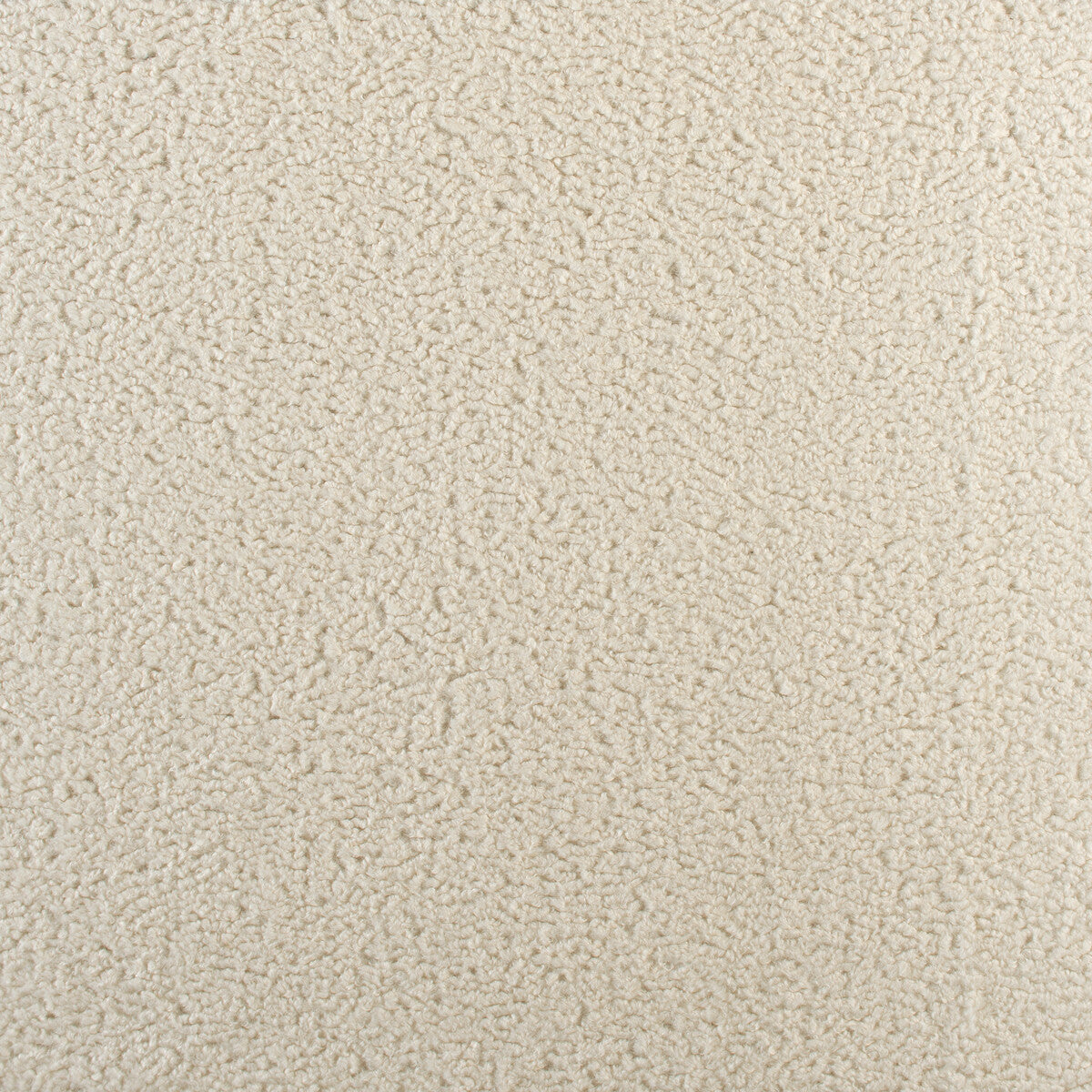 3590010-curly-ivory-kravet-basics