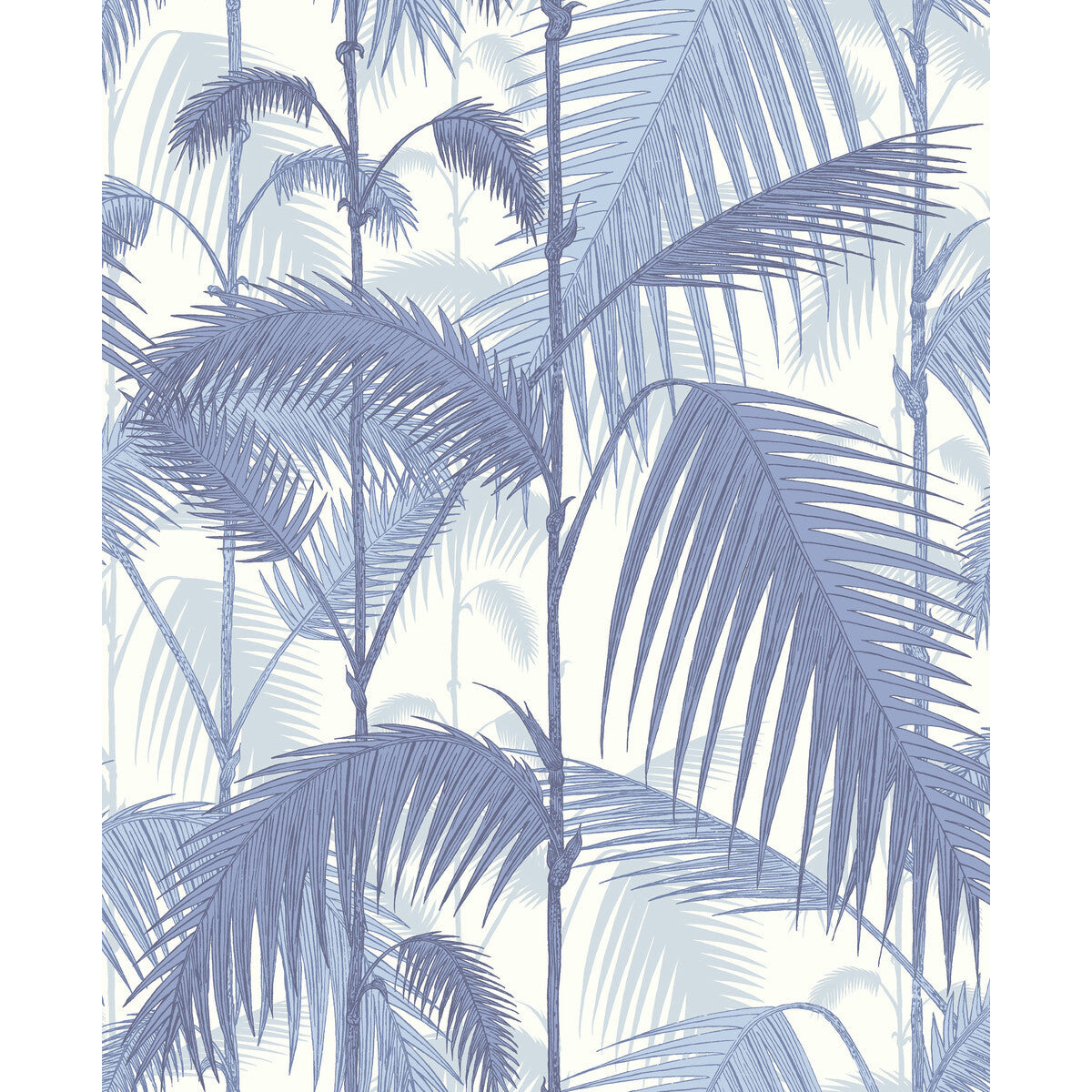 951005cs0-palm-jungle-blues-white-cole-son