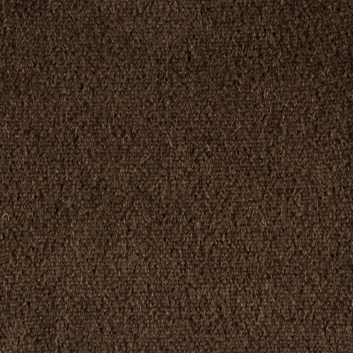 342598710-plazzo-mohair-java-kravet-couture