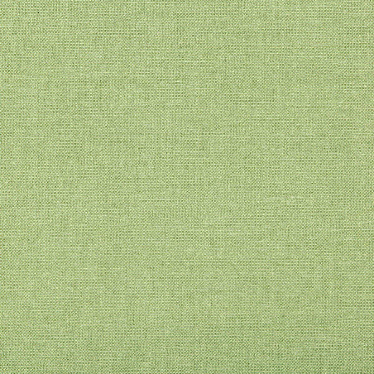 35543130-oxfordian-leaf-kravet-basics