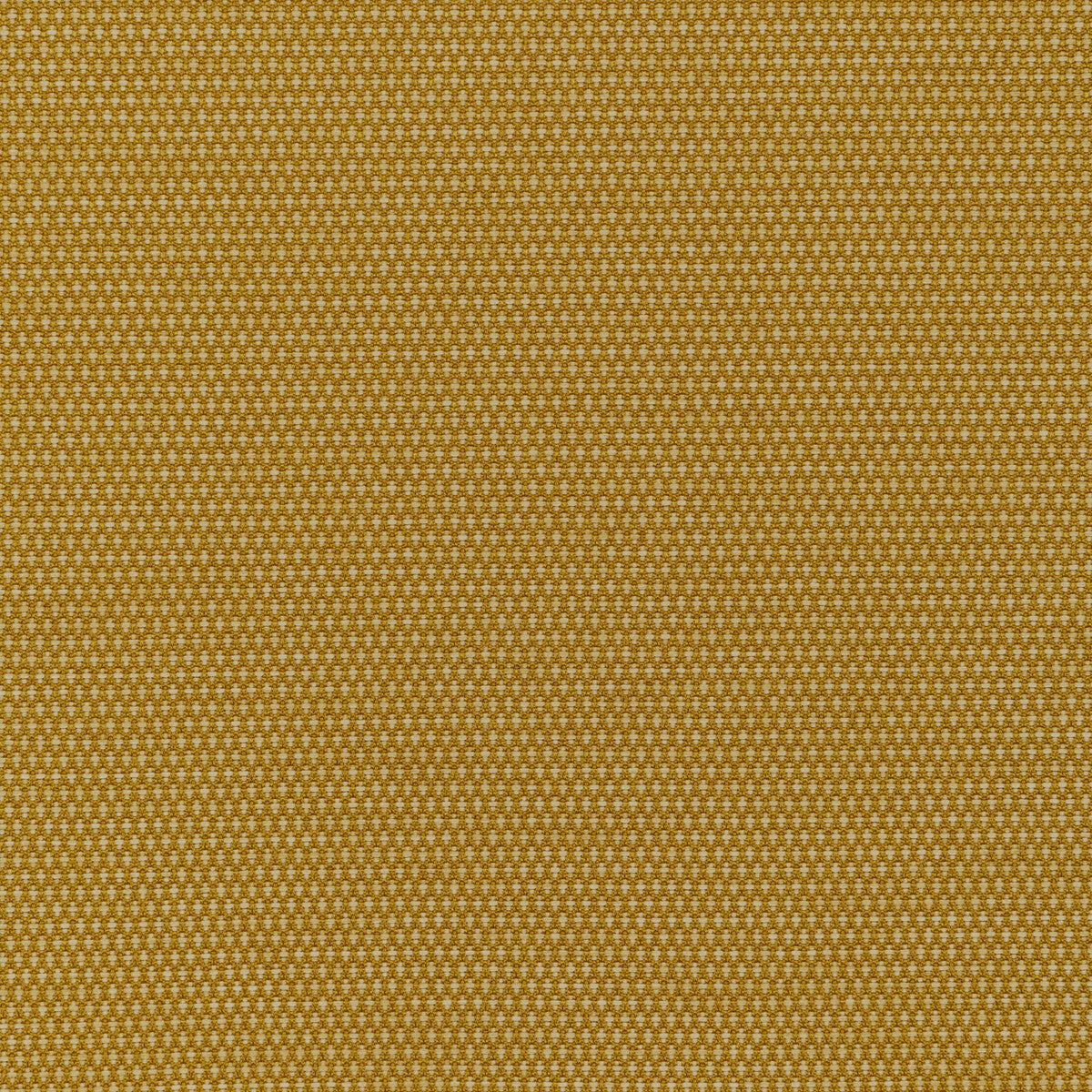 3625640-mobilize-midas-kravet-contract