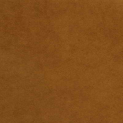 ultrasuede6120-ultrasuede-bridle-kravet-design