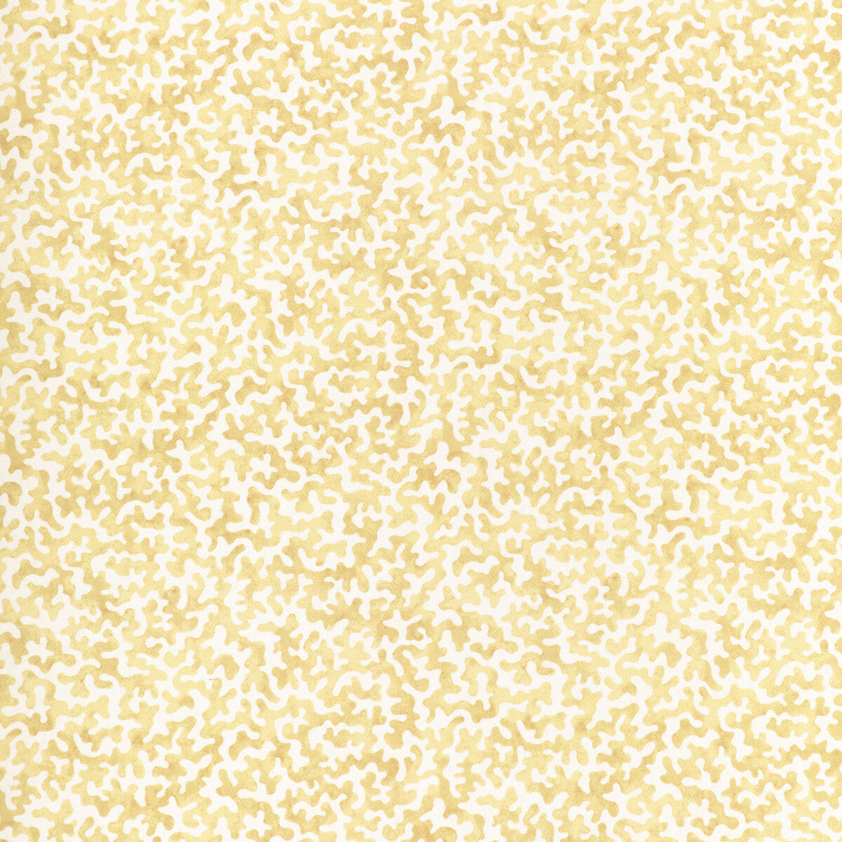 coralcoast140-coralcoast-cornsilk-kravet-basics