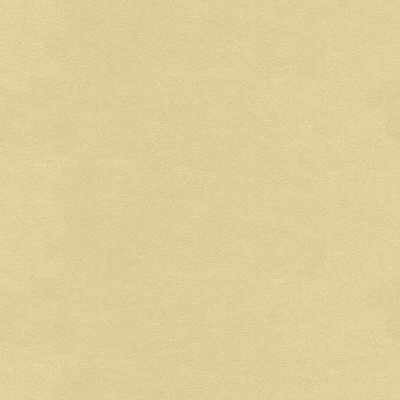 ultrasuede14160-ultrasuede-cream-kravet-design