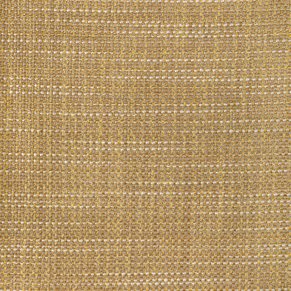 49474110-luma-texture-butterscotch-kravet-contract